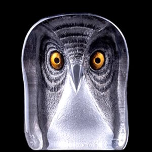 Wildlife Owl (medium)